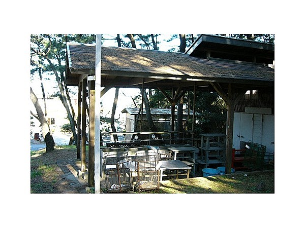 阿字ヶ浦バンガローキャンプ場