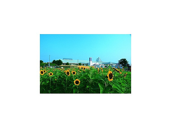道の駅はが ロマンの湯