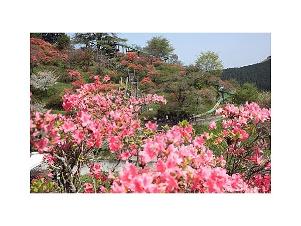 城山公園(栃木県 鹿沼市)