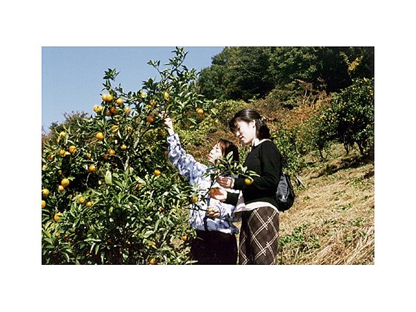 みかん園