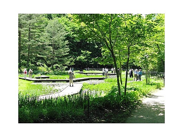 上三依水生植物園