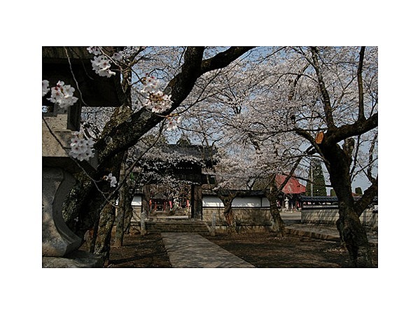 崇真寺（犬切不動尊）