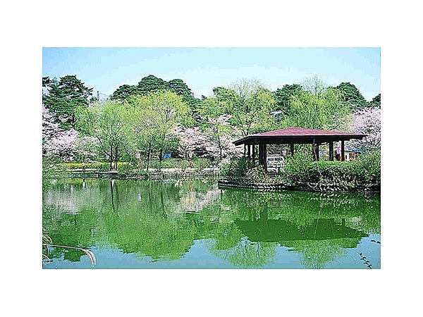 烏が森公園