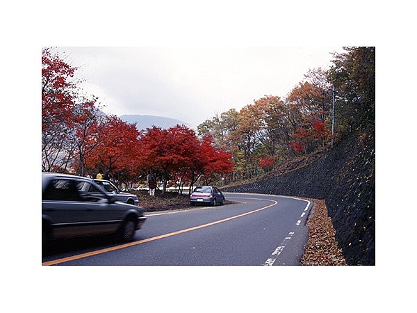 日塩もみじラインの新緑と紅葉