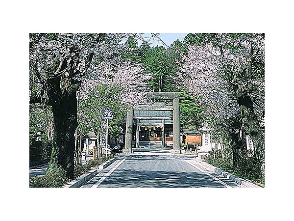 乃木神社（栃木県）のさくら