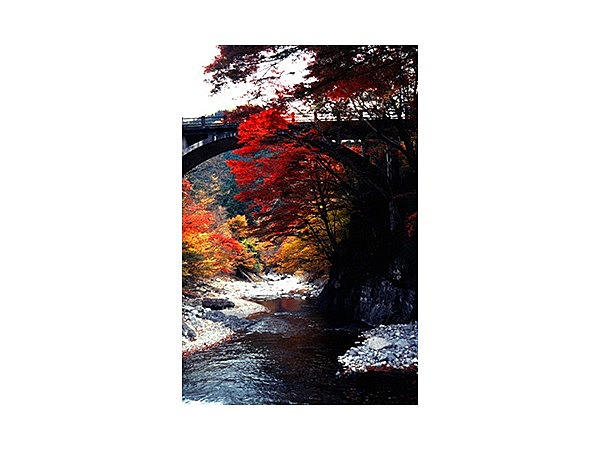 大芦渓谷の紅葉