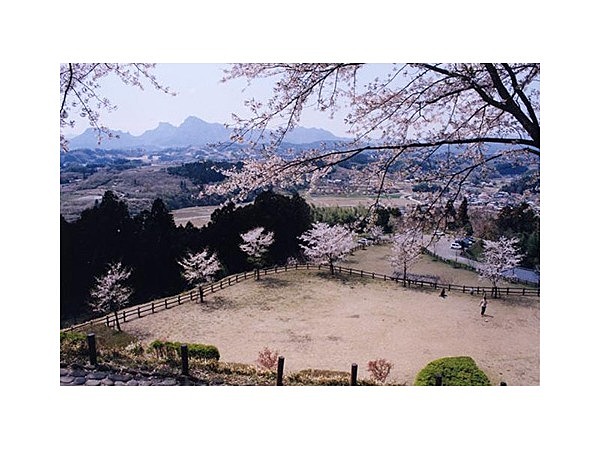 城址と梅林の道