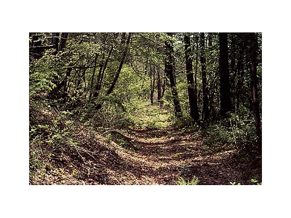 信州街道(善光寺街道)