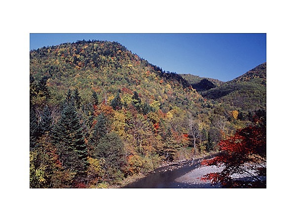 金山十梨別渓谷