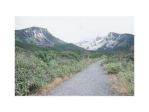 十勝岳温泉高原