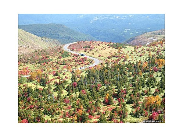 草津白根山の紅葉