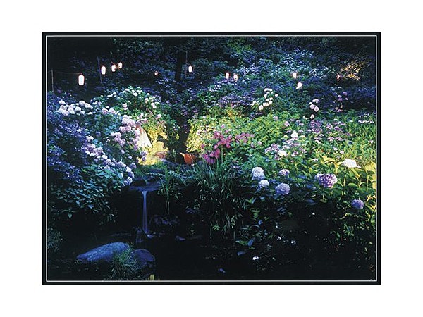 小野池あじさい公園