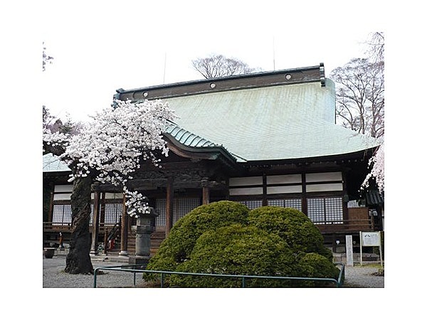 真光寺（あじさい寺）