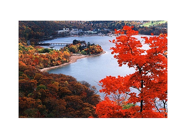 赤城山の紅葉