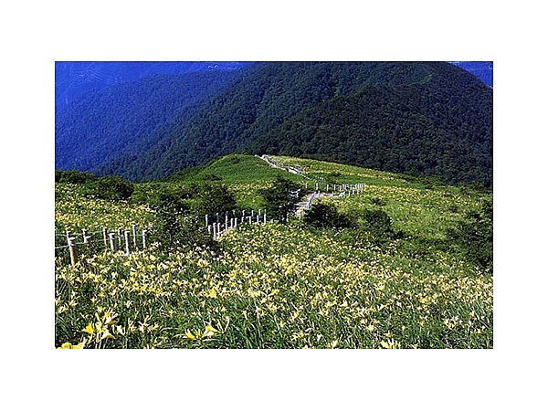 三国山お花畑（群馬県）