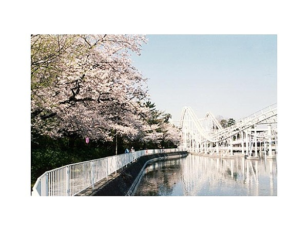 華蔵寺公園のさくら