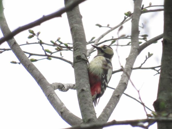 県立伊香保森林公園