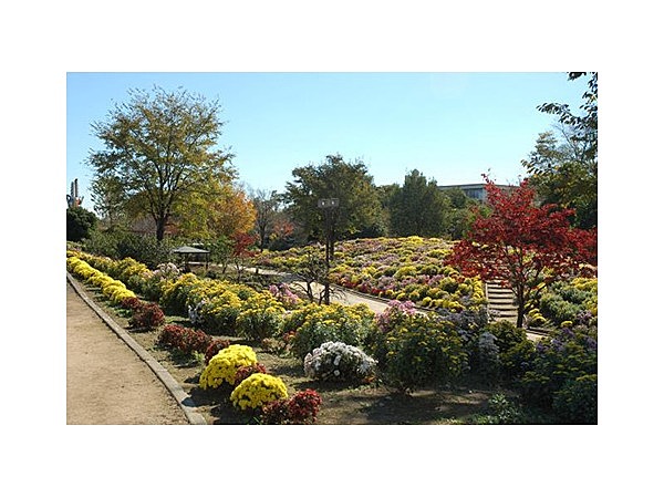 本庄ふるさとフラワーパーク