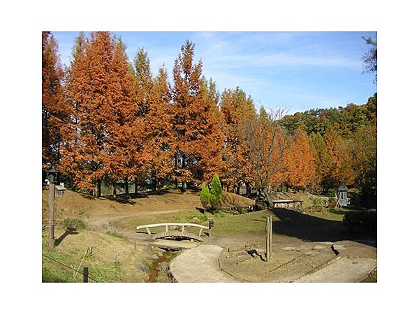 あけぼの子どもの森公園