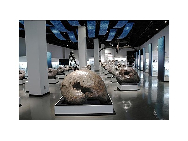 三笠市立博物館