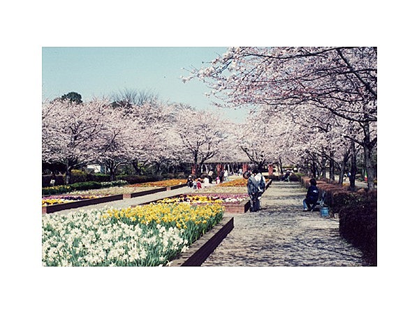 城山公園(埼玉県)