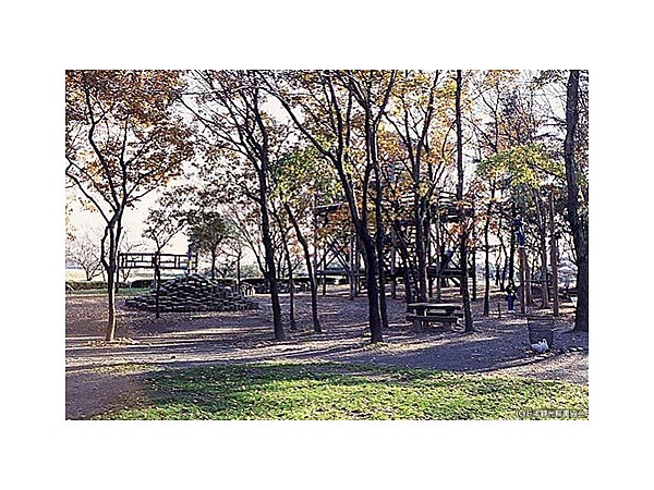 伊佐沼冒険の森フィールドアスレチックコース