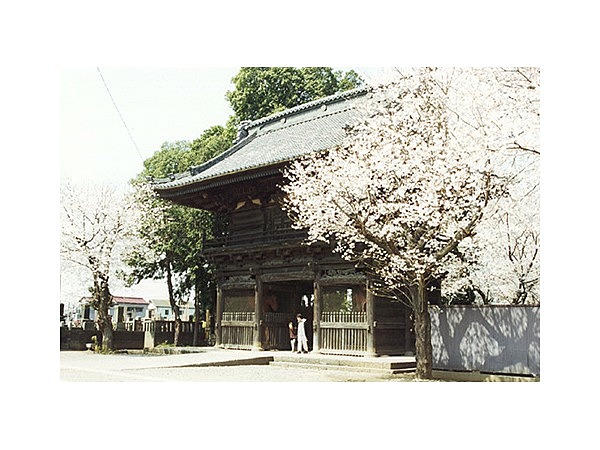 勝願寺