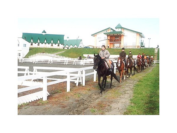 にいかっぷホロシリ乗馬クラブ