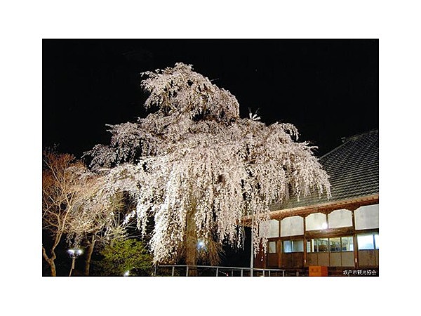 慈眼寺（埼玉県）