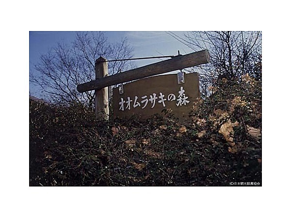 オオムラサキの森