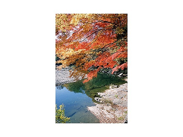 嵐山渓谷の紅葉