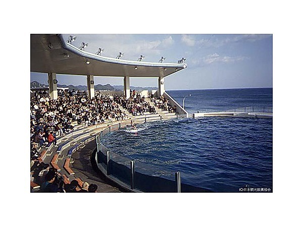 鴨川シーワールド