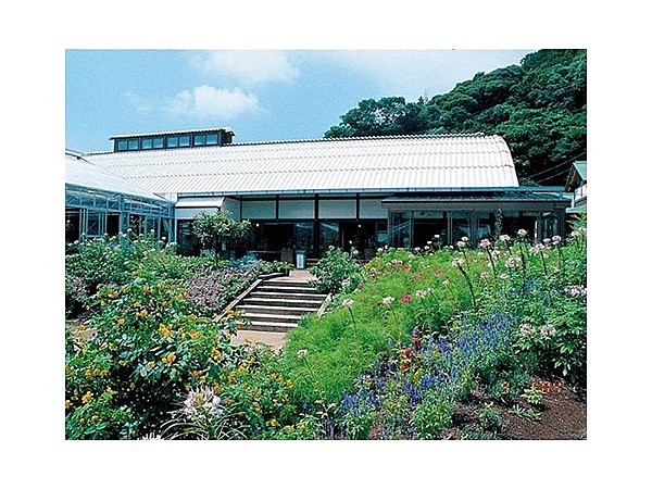 道の駅おおつの里・花倶楽部