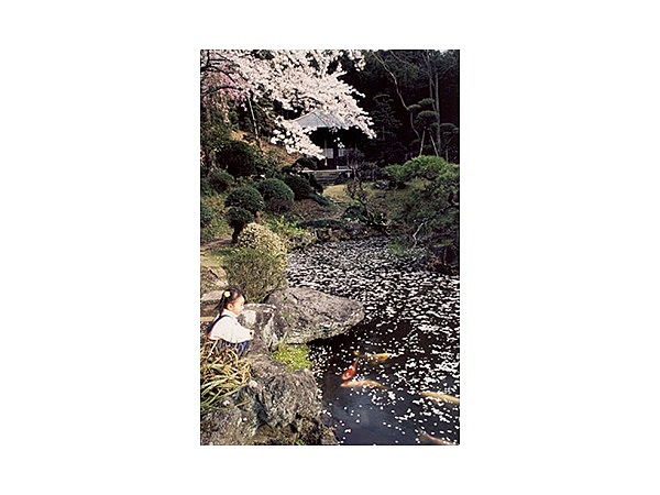 長楽寺（千葉県木更津市）