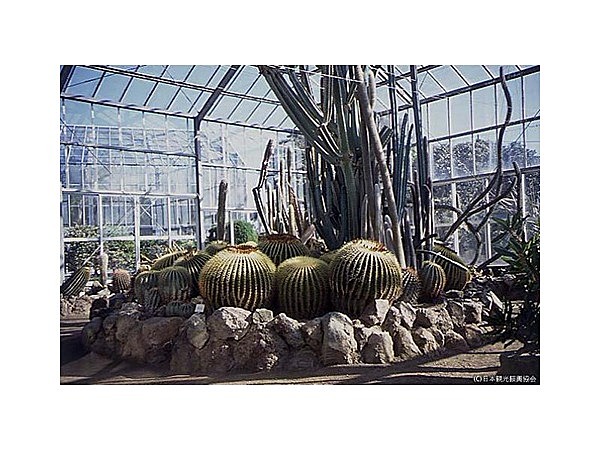 太海フラワー磯釣センター