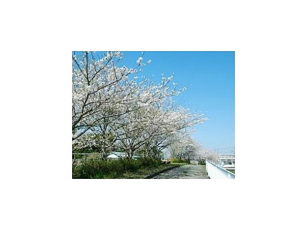 南白亀川遊歩道