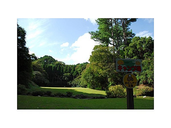 市原市市民の森キャンプ場