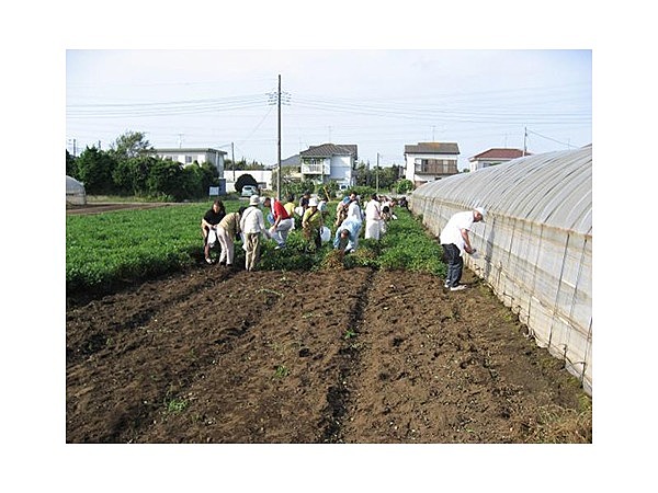 八街市観光農業協会