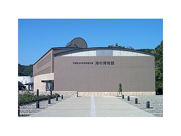 千葉県立中央博物館分館海の博物館