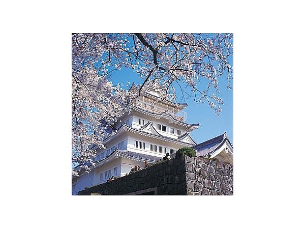 千葉市立郷土博物館