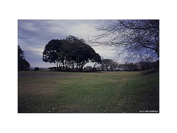 大房岬自然公園