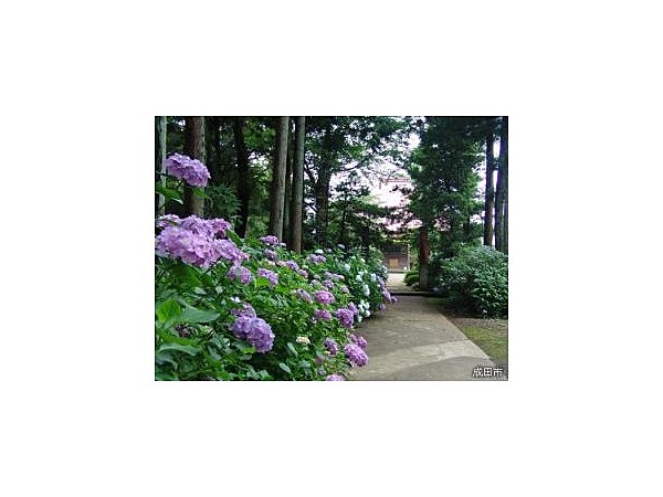 乗願寺(布袋尊)