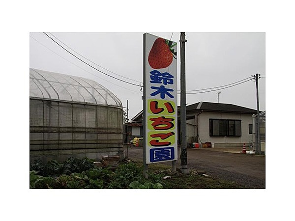 鈴木いちご園