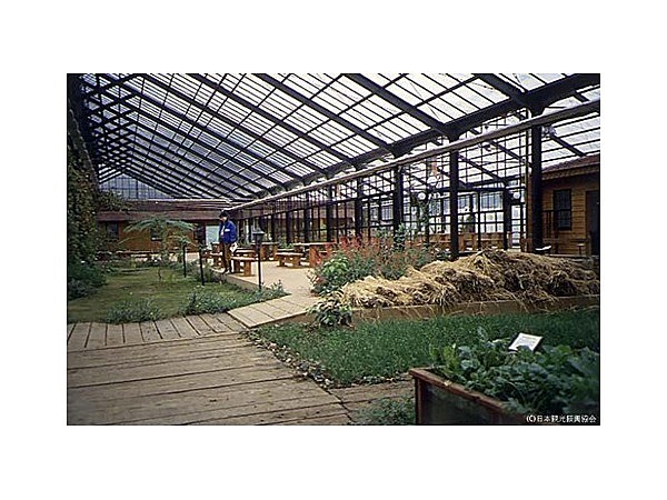 ハーブアイランド