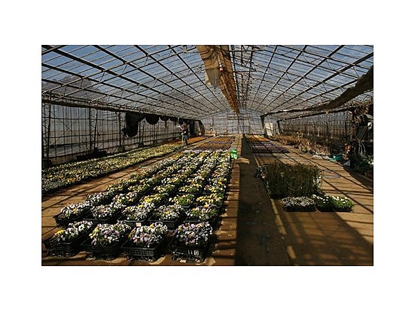 グリーンメイト佐久間