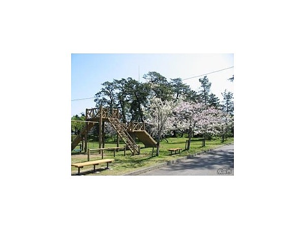 甚兵衛公園の桜