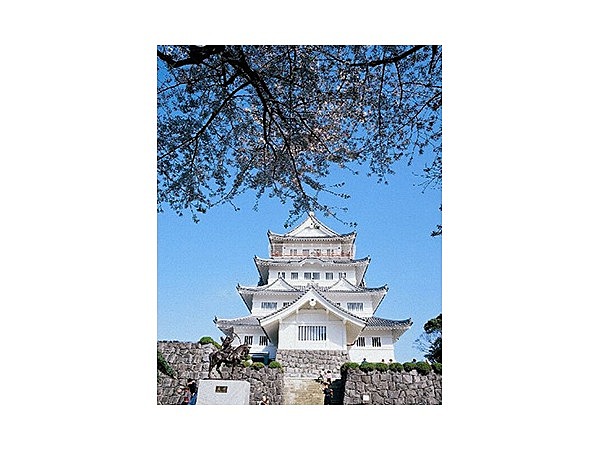 いのはな公園の桜