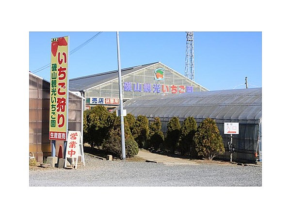 磯山観光いちご園