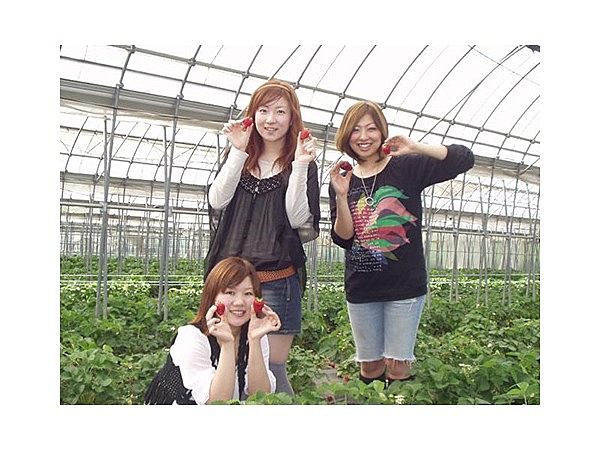 メグミランド(いちご園)