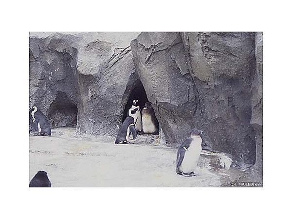 サンシャイン水族館